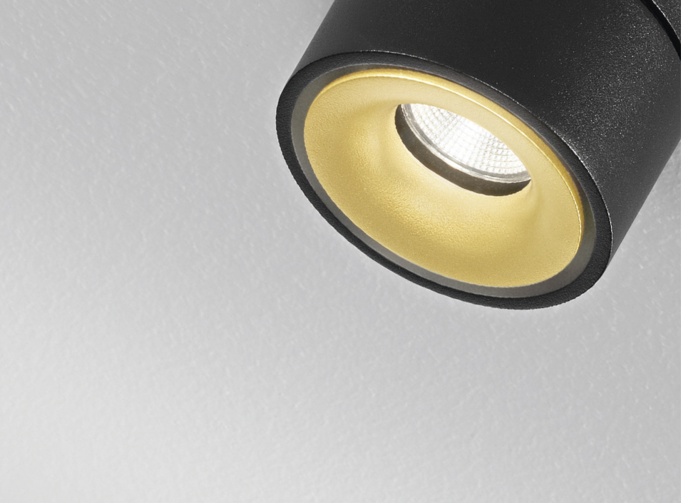 Led Wand- & Deckenleuchte Clippo von DLS Lighting LED 3000 Kelvin schwarz/gold